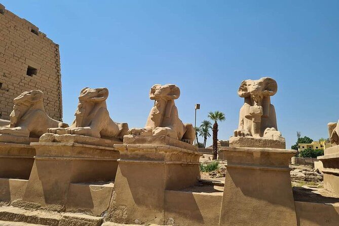 Visit Valley of Kings ,Karnak & Hatshepsut Temples from Hurghada - Final Thoughts
