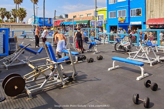 Visit Venice Beach Neighbourhood: Private 2-hour Walking Tour - Who Should Consider This Tour?
