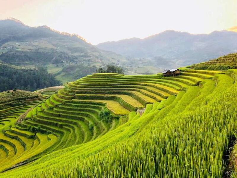 Visit Villages, Terrace Rice Field with Easy Riders half day - Why Choose a Motorbike Tour?