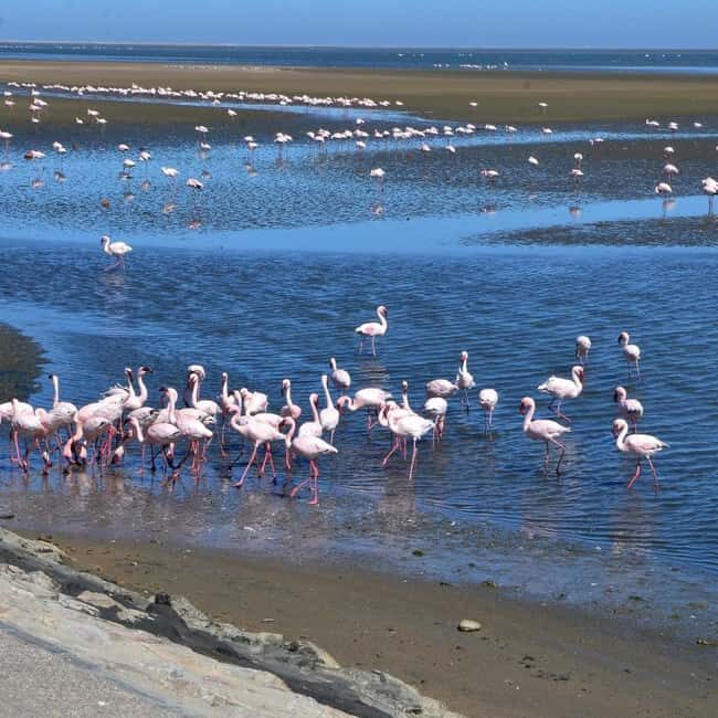 VISIT WALVIS BAY AND SWAKOPMUND: Transport and tour - Key Points