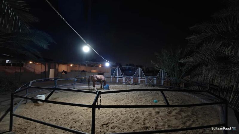Visiting Site for Horses of Medinah - Key Points