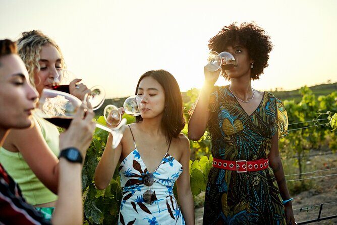 Vistas and Wines: Adelaides Gems and Wine Private Tour - Starting in Adelaide: Your Gateway to the Day