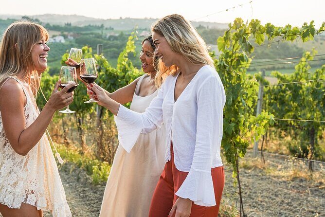 Vistas and Wines: Adelaides Gems and Wine Private Tour - McLaren Vale Wineries: Tasting South Australia’s Best