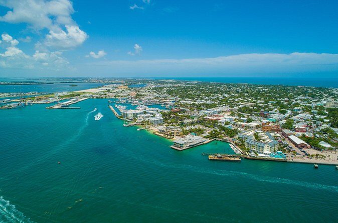 Vitamin Sea Dolphin Safari: Private Key West Charter - FAQ