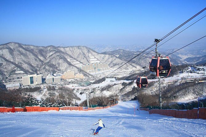 Vivaldi Park Winter Ski Resort with Nami Island Tour from Seoul - Key Points