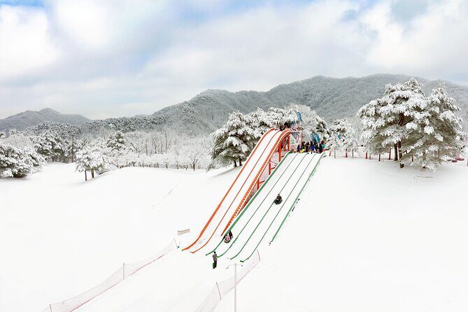 Vivaldi Park Winter Ski Resort with Nami Island Tour from Seoul - FAQ