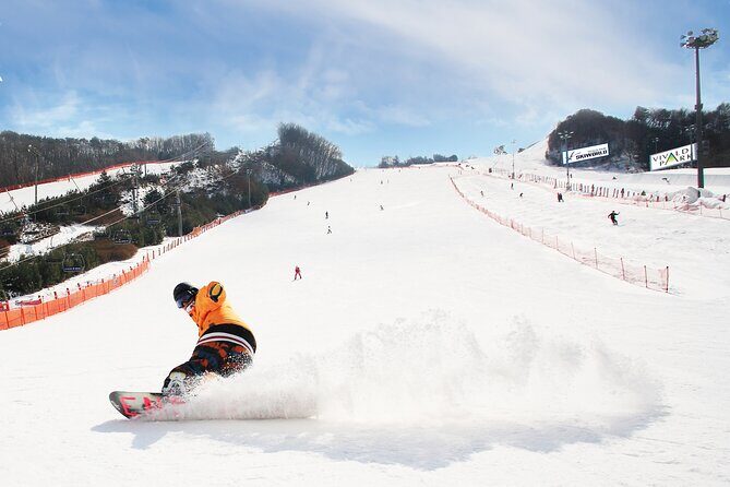 Vivaldi Park Winter Ski with Eobi Ice Valley Day Tour from Seoul - Discovering the Vivaldi Park Winter Ski with Eobi Ice Valley Day Tour from Seoul