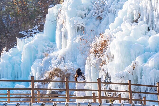 Vivaldi Park Winter Ski with Eobi Ice Valley Day Tour from Seoul - The Sum Up