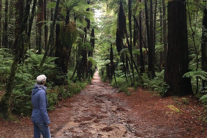 Volcanic Rotorua Day Trip from Auckland - Frequently Asked Questions (FAQs)