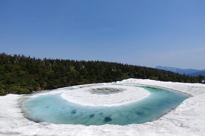 Volcanic Wonders & Scenic Trails - An In-Depth Look at the Tour