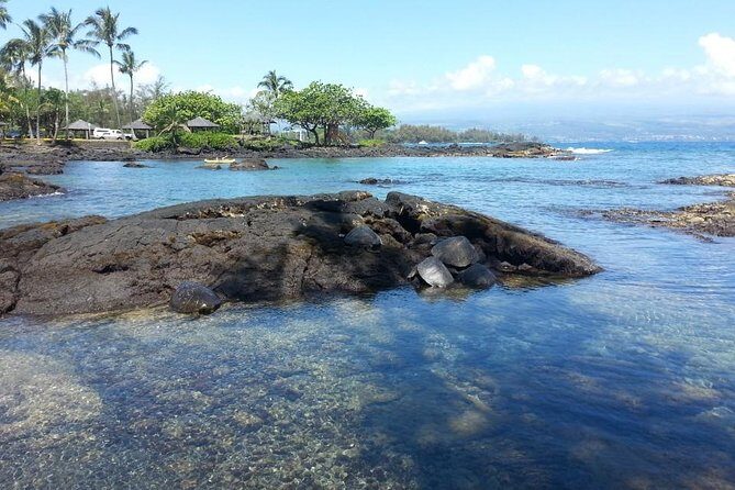 Volcano Adventure - Search the Most Recent Active Volcano from Kona - Who Will Love This Tour?