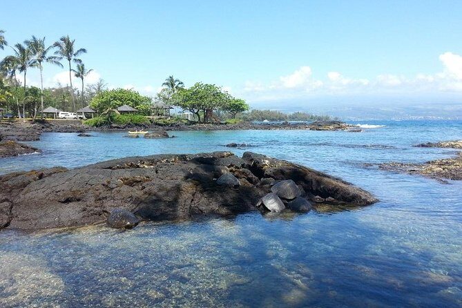 Volcano Adventure Tour & Waterfall - Shore Excursion from Hilo Harbor - FAQs