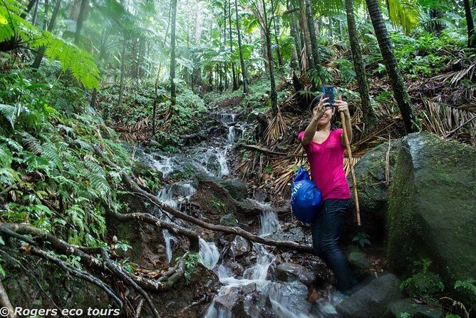 Volcano Caldera (Mt. Liamuiga) Trek / Hike - Introduction: Exploring St. Kitts’ Volcano Caldera Trek