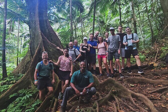 Volcano Caldera (Mt. Liamuiga) Trek / Hike - The Sum Up
