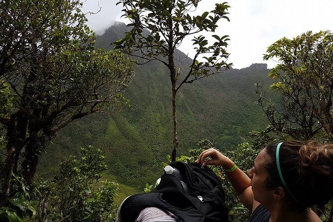Volcano Crater Hiking Tour in St Kitts - Practical Details for Travelers