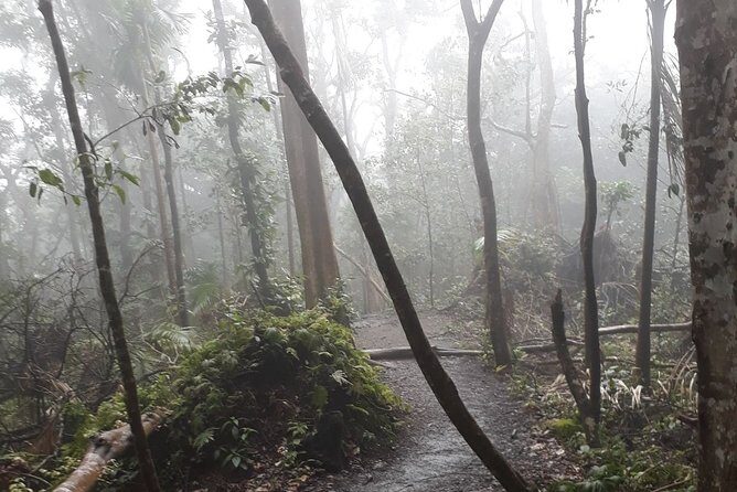 Volcano Crater Hiking Tour in St Kitts - FAQ: Your Questions Answered