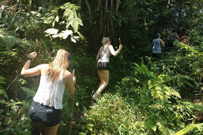 volcano hike and jungle trekking adventure - The Sum Up