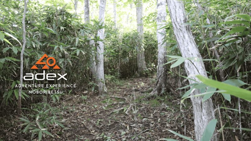Volcano Hike with Pacific and Kuttara Lake Views - Who Should Consider This Tour?