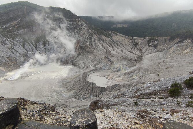 Volcano, Rice Field, Local Coffee, Tea factory, & Hot Spring Tour - Practical Details and What You Need to Know