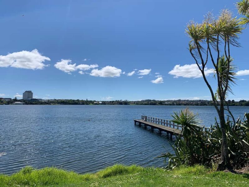 Volcanoes, Coast & Secret Spots Afternoon Tour from Auckland - A Closer Look at the Tour Experience