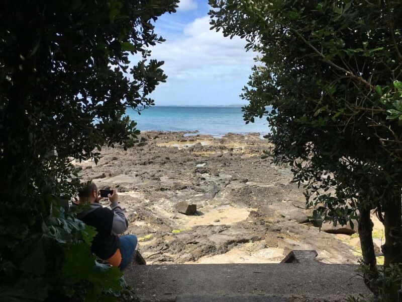 Volcanoes, Coast & Secret Spots Afternoon Tour from Auckland - Who Will Love This Tour?