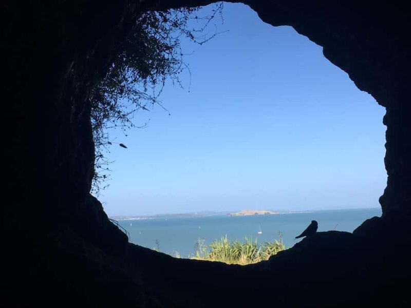 Volcanoes, Coast & Secret Spots Afternoon Tour from Auckland - Final Thoughts