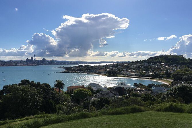 Volcanoes, Coasts, and Secret Spots Afternoon Tour in Auckland - The Value and Practicalities