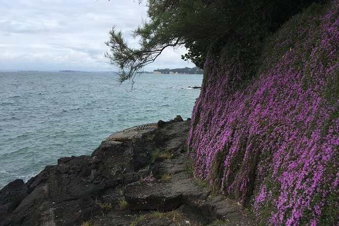 Volcanoes, Coasts, and Secret Spots Afternoon Tour in Auckland - FAQ
