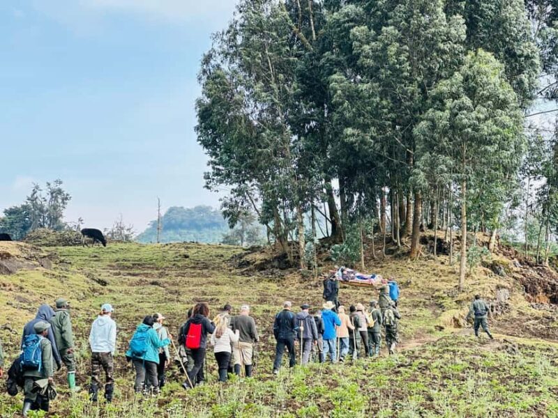 Volcanoes National Park: Dian Fossey Tomb Hike from Kigali - Who Will Love This Tour?