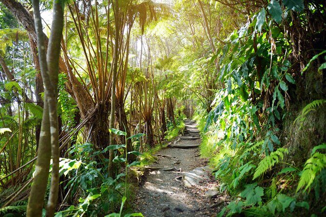 Volcanoes National Park: Guided, Small-Group Hike - FAQs