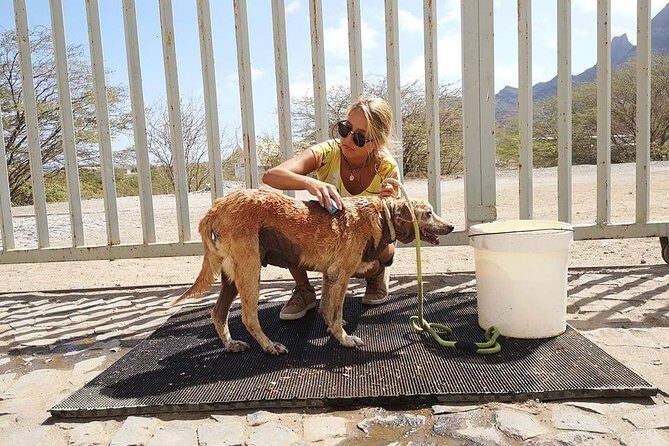 Volunteering with animals in Sao Vicente! - Who Should Consider This Tour?