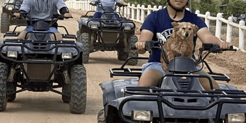 Vrede en Lust Wine Estate: 1H Quad Bike Trail - FAQ