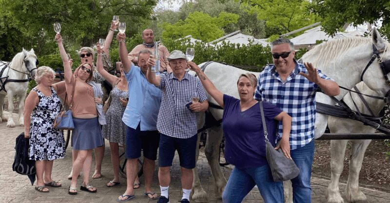 Vrede en Lust Wine Estate: 1H30M Carriage Ride & Wine Taste - A Closer Look at the Experience