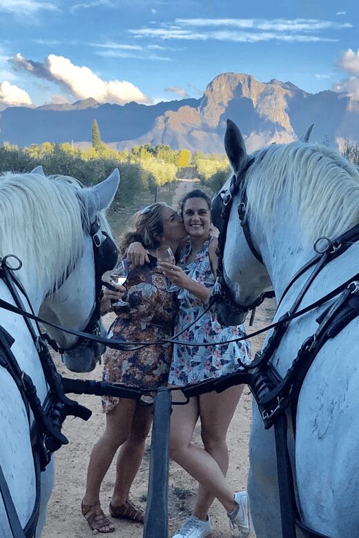 Vrede en Lust Wine Estate: 1H30M Carriage Ride & Wine Taste - Authentic Insights from Visitors