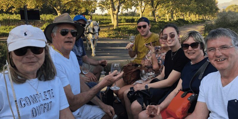 Vrede en Lust Wine Estate: 1H30M Carriage Ride & Wine Taste - Practical Tips for Visitors
