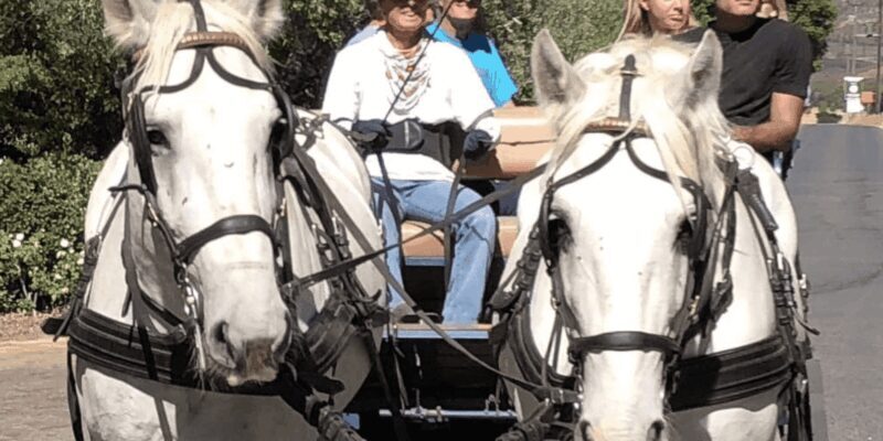 Vrede en Lust Wine Estate: 1H30M Carriage Ride & Wine Taste - Final Thoughts: Is This Tour Worth It?