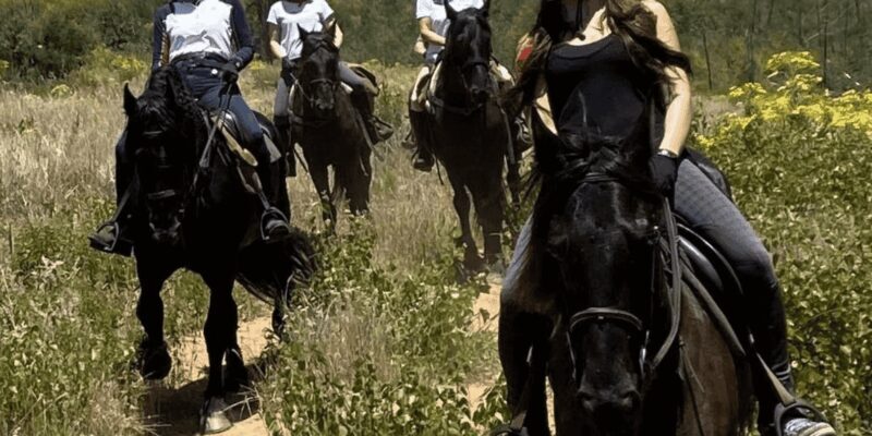 Vrede en Lust Wine Estate: 1h30m Horse Trail Ride - Why the Reviews Praise This Experience