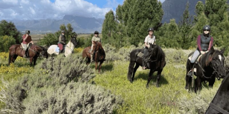 Vrede en Lust Wine Estate: 1h30m Horse Trail Ride - The Sum Up