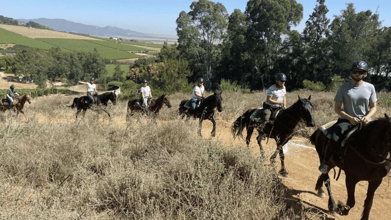Vrede en Lust Wine Estate: 2H Horse Trail - A Deep Dive into the 2-Hour Horse Trail Experience