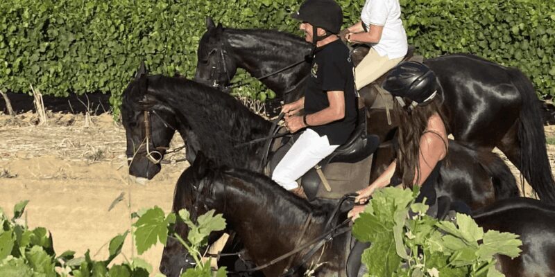 Vrede en Lust Wine Estate: 2H Horse Trail - Frequently Asked Questions (FAQs)