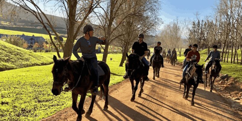 Vrede en Lust Wine Estate:1-Hour Horseback Riding Experience - The Sum Up: Who Should Consider This Tour?