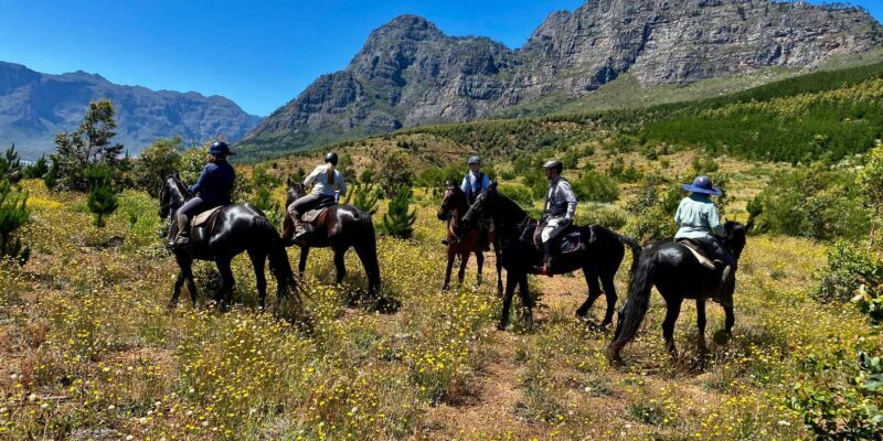 Vrede en Lust Wine Estate:1-Hour Horseback Riding Experience - FAQ: Your Practical Questions Answered