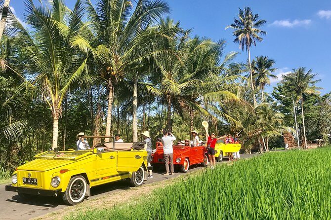 VW Safari,Bayan Ancient Tree,Jatiluwih,Wanagiri,Banyumala Twin Waterfalls - Key Points