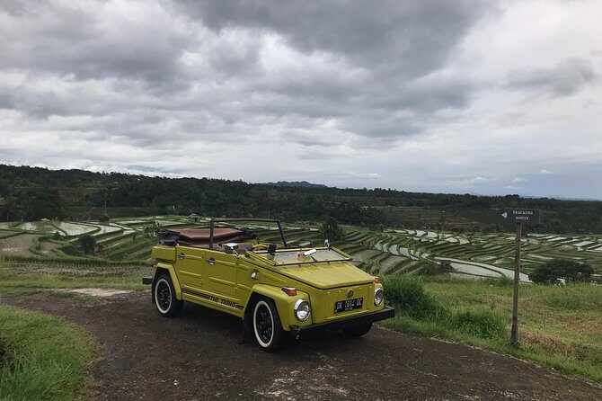 VW Safari,Bayan Ancient Tree,Jatiluwih,Wanagiri,Banyumala Twin Waterfalls - What the Reviews Say