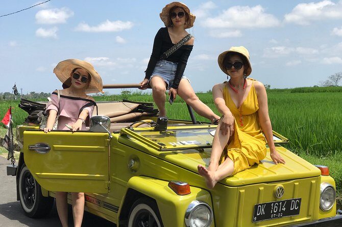 VW Safari,Bayan Ancient Tree,Jatiluwih,Wanagiri,Banyumala Twin Waterfalls - Who Should Consider This Tour?