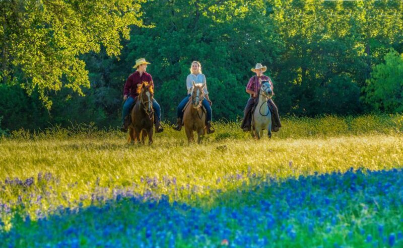 Waco: Horseback Riding Tour with Cowboy Guide - The Value of the Price Tag