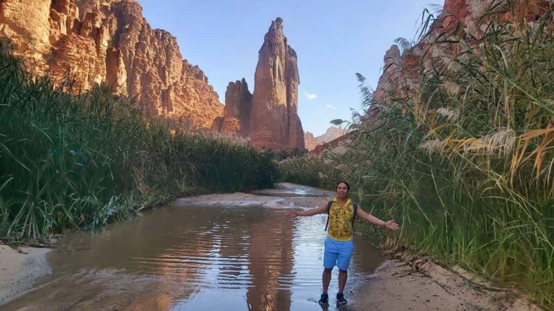 Wadi Al Disah Day Tour From Al Ula - Key Points