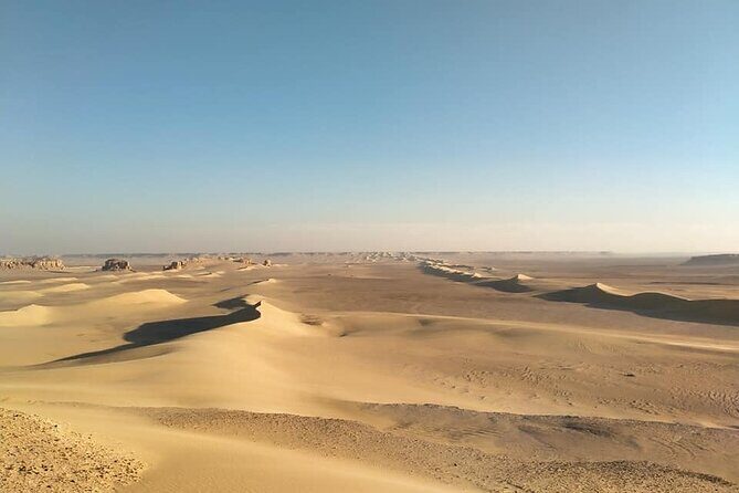 Wadi Al Hitan Day Trip From Cairo - Visiting the Fossil & Climate Change Museum
