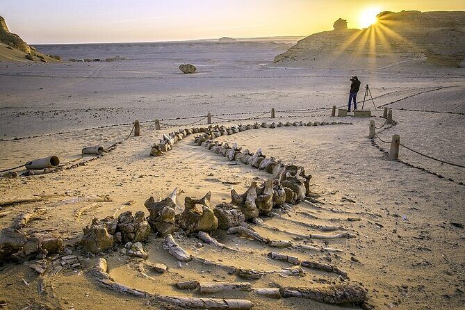 Wadi Al Hitan Day Trip From Cairo - The Sum Up: Who Will Love This Tour?