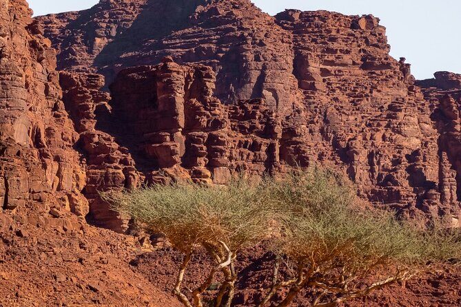 Wadi Disah Adventure from Tabuk | Al Ula - Authenticity and Reviews